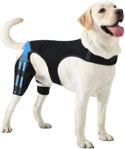 Attelle de genou réglable pour chien, pour déchirure de la ligament croisé antérieur, protection des pattes arrière, soutien des pattes arrière avec 4 stabilisateurs métalliques, attelle de genou pour chien - Product Image 1
