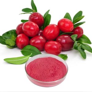 High Quality Anthocyanidins Wild-Cultivated Lingonberry Fruit Extract Powder Vacuum Packed - Product Image 1