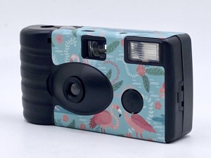 Hot <b>Sale</b> Single Use Custom Wholesale Disposable Camera With <b>Flash</b> 35mm Film Vintage White Single-use Funsaver Bulk Wholesale Dis - Product Image 5