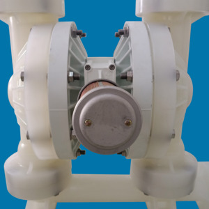 Bomba Neumática de Diafragma de Plástico Wilden de 2 Pulgadas P800/PKPPP/TNU/TF/PTV, Bomba de Diafragma Operada por Aire con Diafragma de PP y PTFE - Product Image 6