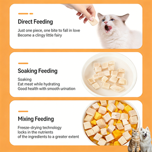 Fournisseur d'usine OEM/ODM, vente en gros <span class=keywords><strong>de</strong></span> nourriture pour chats et chiens, friandises à mâcher en cubes <span class=keywords><strong>de</strong></span> poulet lyophilisés, étiquette privée, friandises pour chiens et chats - Product Image 4