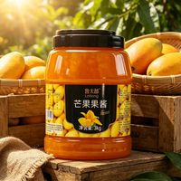 Lotlong Source Factory Mango Drankensap 35g Brix 3kg 9 Maanden Houdbaarheid voor Drankensupermarkten