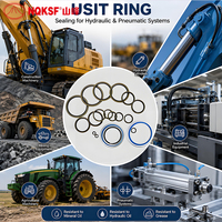USIT Ring Hydraulik-Unterlegscheibe NBR FKM mit Kohlenstoffstahl-Metallunterlegscheibe M3-M60 Metrische und Zoll-Größen Dowty Verbunddichtung