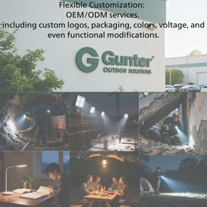 Lampe murale solaire en tungstène à batterie 3W 18650 <span class=keywords><strong>Détecteur</strong></span> <span class=keywords><strong>de</strong></span> lumière du soleil Lampe <span class=keywords><strong>détecteur</strong></span> <span class=keywords><strong>de</strong></span> <span class=keywords><strong>mouvement</strong></span> étanche Lampe solaire <span class=keywords><strong>de</strong></span> jardin pour l'<span class=keywords><strong>extérieur</strong></span> - Product Image 6