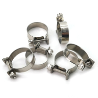 Heavy Duty Réglable 13mm Petit Diamètre W4 En Acier Inoxydable Moto Voiture Mini Collier De Serrage Bande Clips