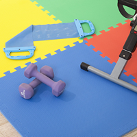 Tapis de sol emboîtable en mousse souple Horizon Gym, écologique, imperméable, pour entraînement de Taekwondo, Karaté et équipement de fitness à domicile