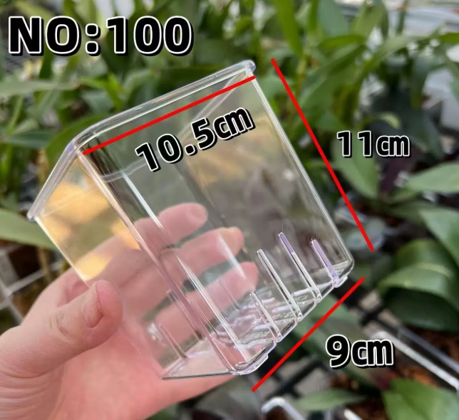 10 cm trasparente (senza vassoio)