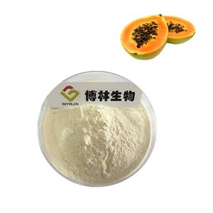 مسحوق مستخلص البابايا مسحوق الفاكهة و البابايا الطبيعية بسعر مناسب - Product Image 3