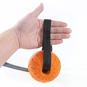 Custom logo <strong>Pet</strong> Interactive Outdoor <strong>Fitness</strong> Training Toys EVA Dog Chew Ball Toys <strong>Pet</strong> Summer Floating Toy with Rope - Product Image 4