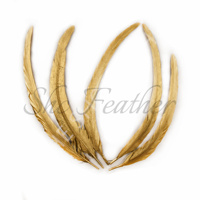 Plumes de queue de coq naturelles or et argent de pulvérisation en vrac plumes Gallo en vrac pour décoration de Costumes de carnaval