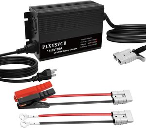 Chargeur de batterie AGV 24V 30A, vente en gros, 1200W, 25.2V 29.2V 29.4V 30A, avec entrée 220V et 110V - Product Image 2