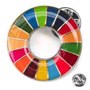 Fabricant d'objectifs de développement durable personnalisés Insignes arc-en-ciel 17e objectif ODD Épinglette en émail - Product Image 1