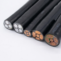 Cable de alimentación de baja tensión de cobre PVC HENAN GUOWANG VAV 600V 1000V 3X35MM 1X16MM 3X95MM 1X50MM2, retardante de llama IEC para estaciones de energía