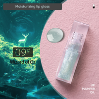 Transparent Vegan Lip Plumper Couleur Changeante Paillettes Étanche À Base De Plantes Brillant À Lèvres Minéral Hydratant Liquide Gratuit Boîte Échantillon Emballage