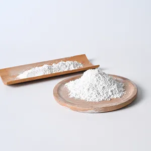 Industrial Grade Caco3 Powder 98% Pure Packaged For Convenience Precipitated Calcium Carbonate