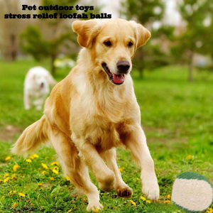 Venta al por mayor, función de entrenamiento, lufa, juguetes para mascotas, molienda de bolas, incluye hierba gatera para jugar al aire libre con perros - Product Image 4