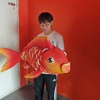 Lanterne chinoise Jiucai Culture pour le Nouvel An et Noël, lanterne durable et imperméable en soie en forme de poisson Koi, fournitures de fête