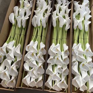 Rosas Artificiales de Plástico al por Mayor, Realistas, Mini Rosas de Tallo Único, para Decoración de Graduaciones, Bodas y Hogar, Suaves - Product Image 2