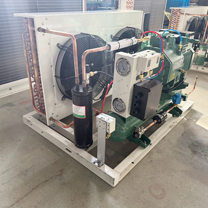 Unité de condensation à compresseur refroidi par air avec <span class=keywords><strong>moteur</strong></span> à économie d'énergie pour chambres froides et congélateurs - Product Image 5