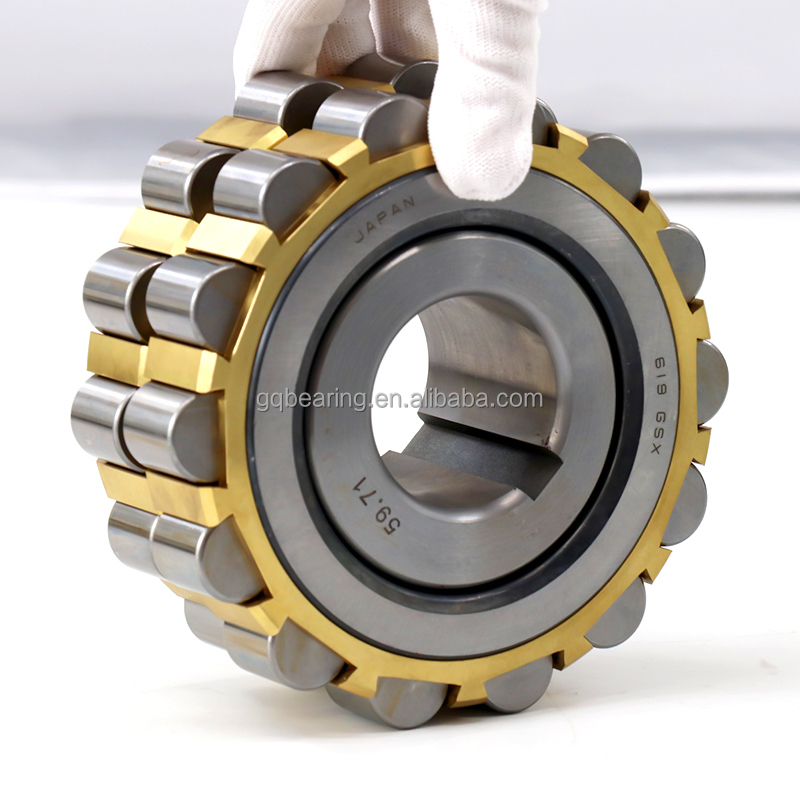 619GSX High Speed Reducer Bearing - SHI Eccentric Bearing