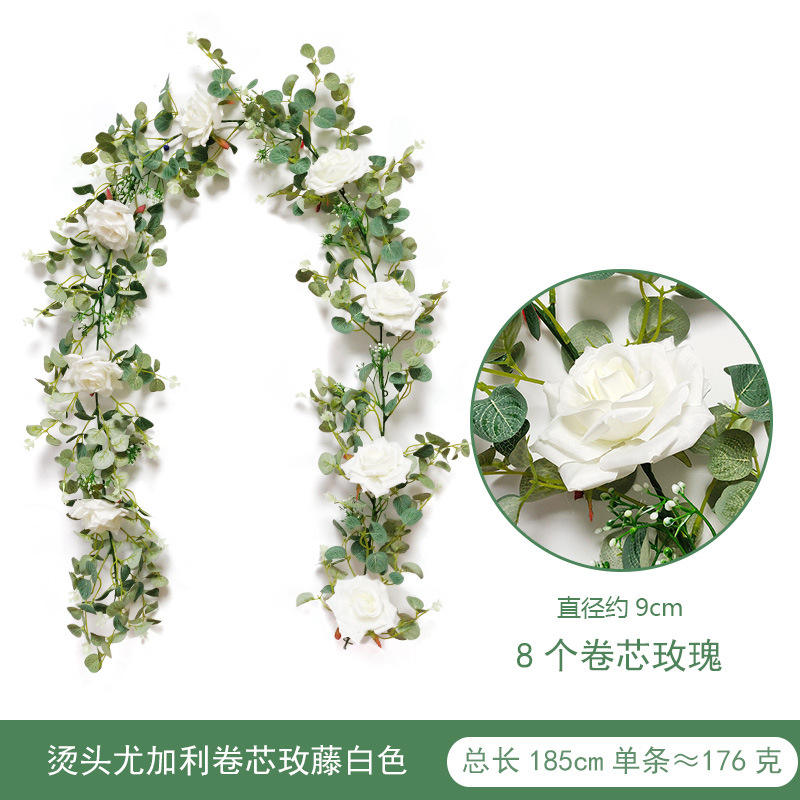 1.85 meters of Roten Tendril