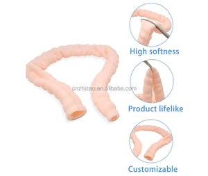 แบบจำลองการฝึกส่องกล้องตรวจลำไส้ใหญ่ทางวิทยาศาสตร์การแพทย์ อวัยวะลำไส้ใหญ่จำลองแบบนุ่มสำหรับการสอน - Product Image 3