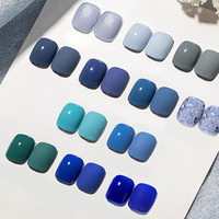 Créez vos propres bouteilles de luxe de marque 15ML automne et hiver couleur bleue vernis gel UV