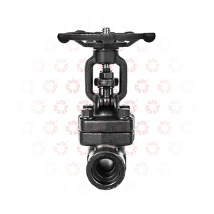 2 인치 3 인치 4 인치 탄소강 800LB C27 A105N 소프트 씰 플랜지 연결 주철 용접 게이트 밸브 - Product Image 5