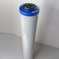 Filtre à eau bloc carbone 2.5x20 pouces SL Cartouche de filtre à eau CTO