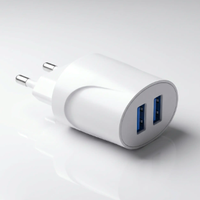 Prise murale standard européenne avec deux ports de charge USB-A DC 5V 2.4A Max, approuvée CE RoHS pour ordinateur portable/PC, caméra et téléphone portable