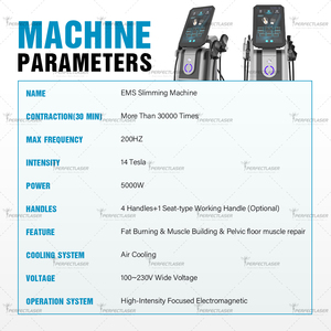 EMS máy cơ thể đường viền xây dựng cơ bắp phòng tập thể dục cơ thể hình thành EMS máy điện kích thích cơ bắp thiết bị RF - Product Image 6