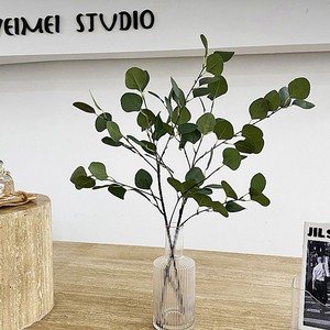 Feuilles d'eucalyptus artificielles en soie, fleurs de vase de 30 cm à 100 cm pour la décoration de mariage et de la maison - Product Image 4