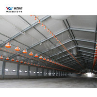 Direct Usine Bâtiments d'Élevage Volaille en Acier, Cadres Durables, Structure en Acier, Poulailler de Ferme Avicole, Isolation Thermique et Ventilation