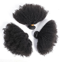 Lots de Cheveux Humains Afro Crépus Bouclés en Gros, Extensions de Cheveux Brésiliens Grade 11A, Produits Capillaires Vierge à Cuticules Alignées