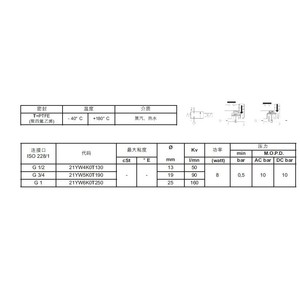 Ode Solenoid Valve 21YW6K0T250 230V Ac 0 10 <b>Bar</b> For Hot Water Steam - Product Image 2