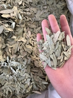 Feuilles de Séné Séchées Naturelles à 100% en Vrac, Matière Première pour Extraits d'Herbes et Thés, 50kg