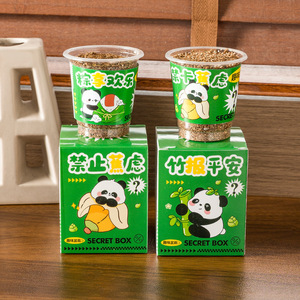 Caja Sorpresa de Plantas Panda, Plantas en Maceta, Paquete Individual para Niños, Regalo de Regreso a Clases, Decoración de Escritorio - Product Image 2