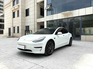 Model 3 2020 Standard Range Trazione Posteriore Edizione Premium Auto Usata in Ottime Condizioni Prezzo Scontato Trova un'Auto Scegli Me - Product Image 1
