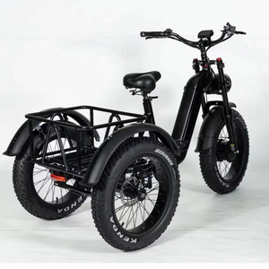 Elektrische Trike 750W Motor Dikke Band <span class=keywords><strong>3</strong></span> Wiel E Fiets Driewieler Drie Wielen Volwassen Lading Elektrische Fiets Met Mand