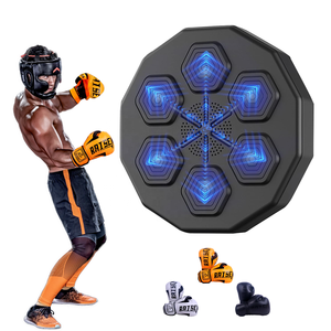 RS Electric Home Interactive Intelligent Music Boxing Target Trainer Dummy Punch Machine Wall Mounted Smart Music Boxing Machine