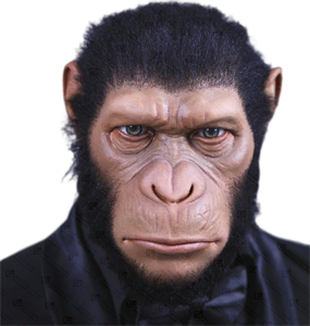 Cera realista para figuras de Gorilla, a la venta - Product Image 1