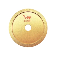 Disque diamanté continu de 120 mm pour rainurage mural à coupe humide