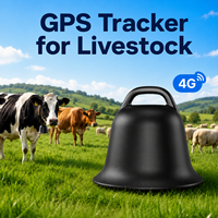 Vente en gros usine : Dispositif intelligent de suivi de bétail 4G Lora GPS Beidou, localisateur de bétail pour bovins, ovins, chameaux, chevaux, surveillance de la pâturée