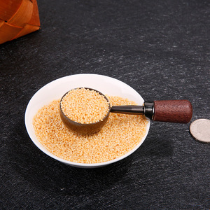 ช้อนกาแฟสแตนเลส 304 พร้อมด้ามไม้วอลนัท ด้ามยาว ด้ามสั้น ช้อนตวงสำหรับผงและเมล็ดกาแฟ ความจุ 15 มล. สำหรับการอบ - Product Image 3