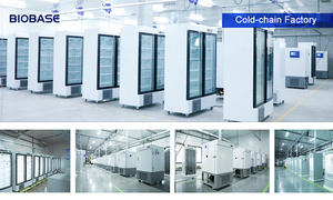 Machine à glaçons en cubes BIOBASE 150 kg, contrôle intelligent, production continue, en acier inoxydable, pour laboratoire et industrie - Product Image 4