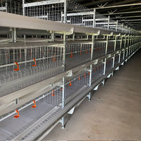 Cage à poules pondeuses automatique à 4 niveaux de type H, galvanisée à chaud, pour l'élevage avicole