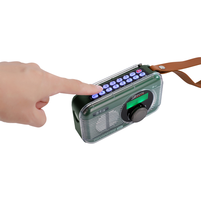 DAB FM Digital Radio USB-C Charging  Wireless LED Screen Voice Prompts TF Card Recording Timer Sleep LED Flashlight 1800mAh