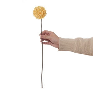 <span class=keywords><strong>ดอก</strong></span><span class=keywords><strong>เบญจมาศ</strong></span>ประดิษฐ์ทรงกลม ช่อดอกไม้ตกแต่งบ้าน โรงแรม ของตกแต่งนุ่มนวล อุปกรณ์ประกอบฉากถ่าย<span class=keywords><strong>ภาพ</strong></span> ของขวัญ - Product Image 5