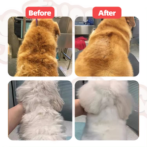 Shampooing et revitalisant pour chien sans larmes Contrôle des odeurs pour chien Hydrate les poils et l'après-shampoing pour chien - Product Image 5