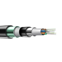 GYTA53 CABLE Doble escudo armadura de acero 4 6 8 12 16 24 32 36 48 72 96 144 de 192 a 216 núcleo de modo único CABLE de fibra óptica